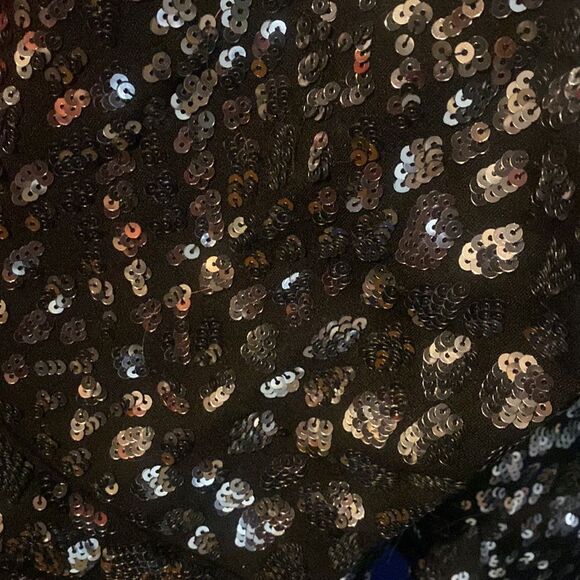 Express Fancy Formal Sequin Dress Taylor Swift Met Gala - Picture 10 of 10